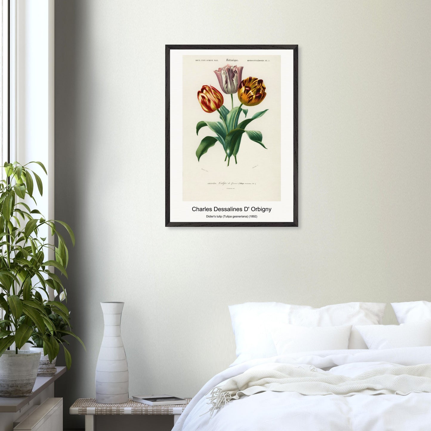 13f290fa-54e6-4fb3-af40-a14e240ac2fe