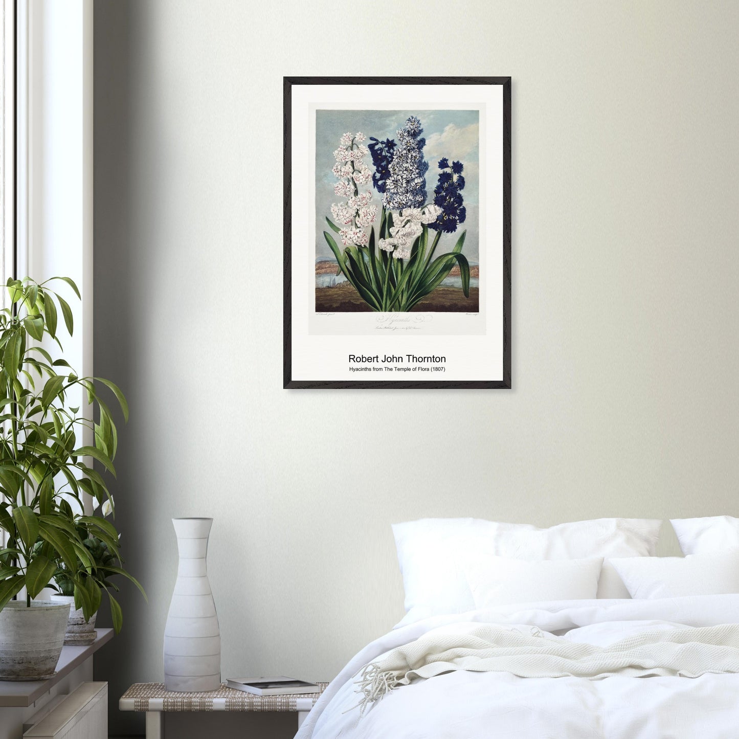 38585b96-4143-4001-83e7-d0135a8dfca1