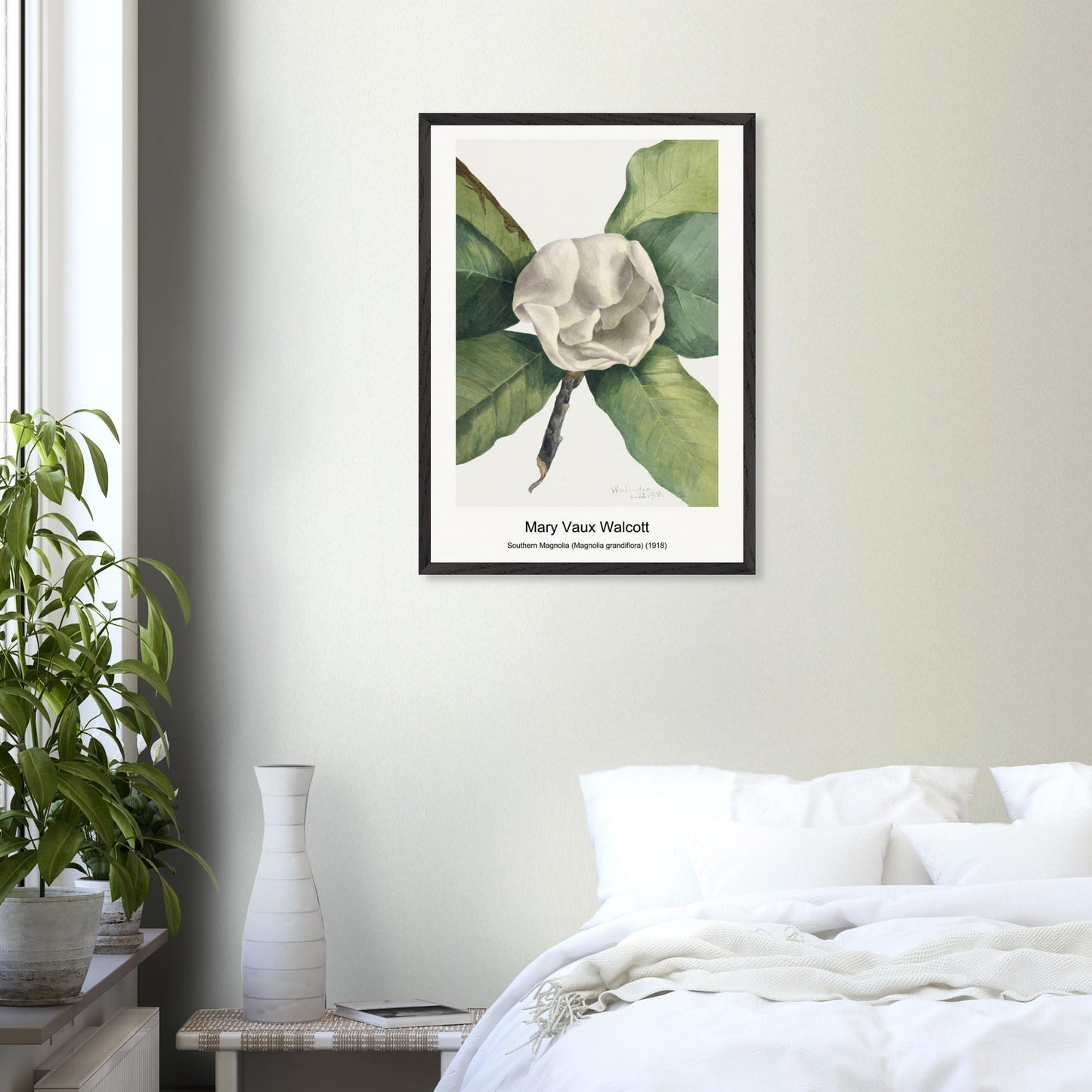 650edb8d-d398-455f-88f7-ad04403def72