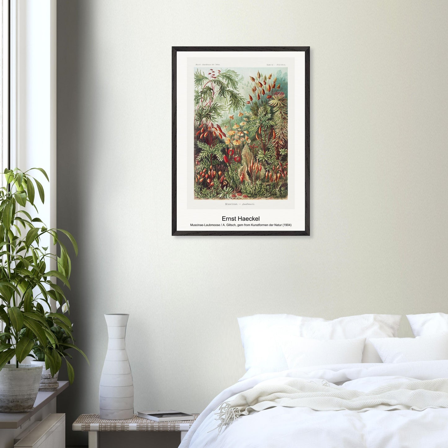 7a85eac7-039a-42b0-adaf-76b088452353