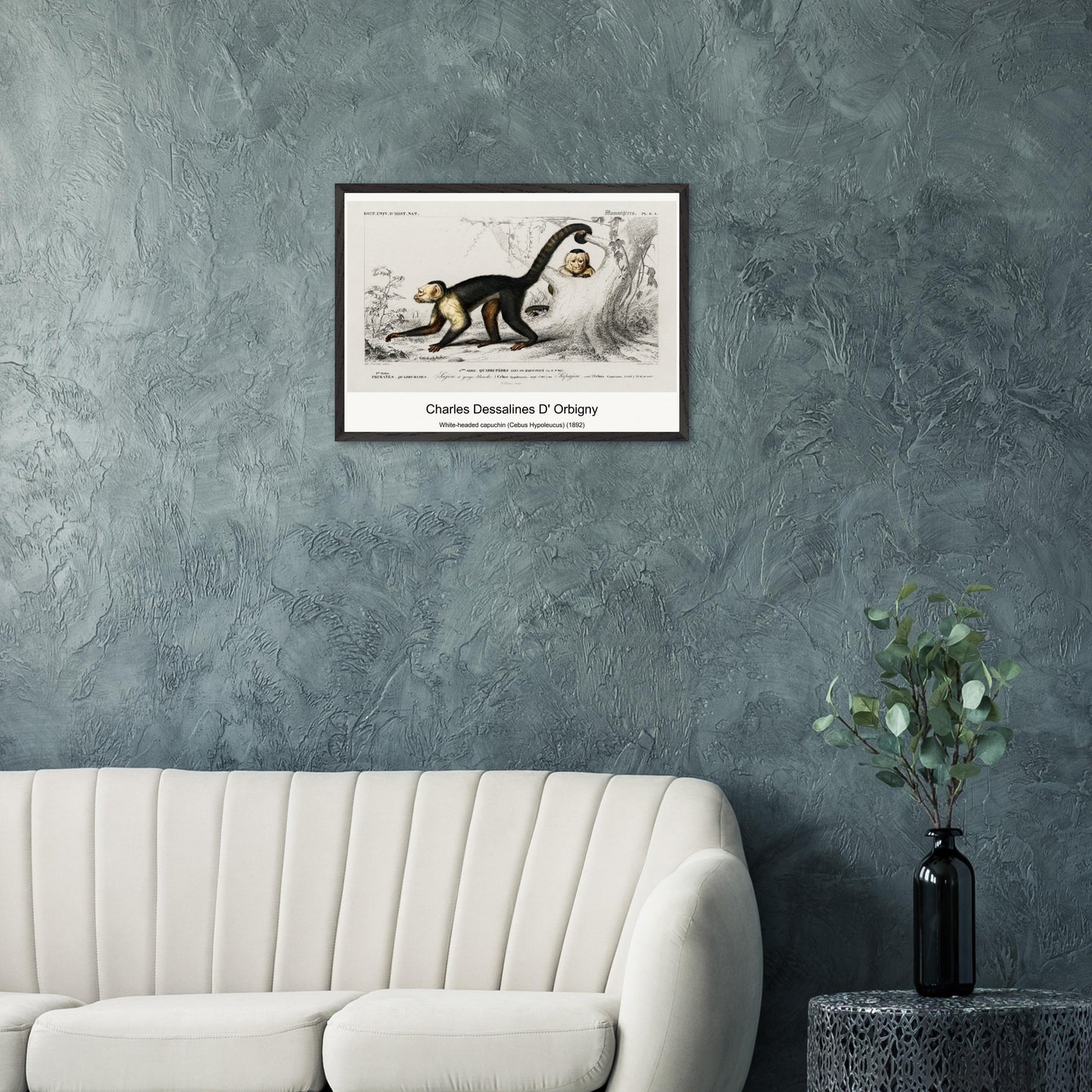 9cc9bb37-890b-4ba9-b58d-6ce17d9a48b7