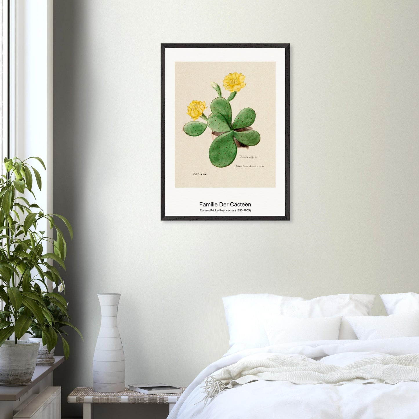 aced6d8f-ca9e-4548-8587-783b5fcf722a