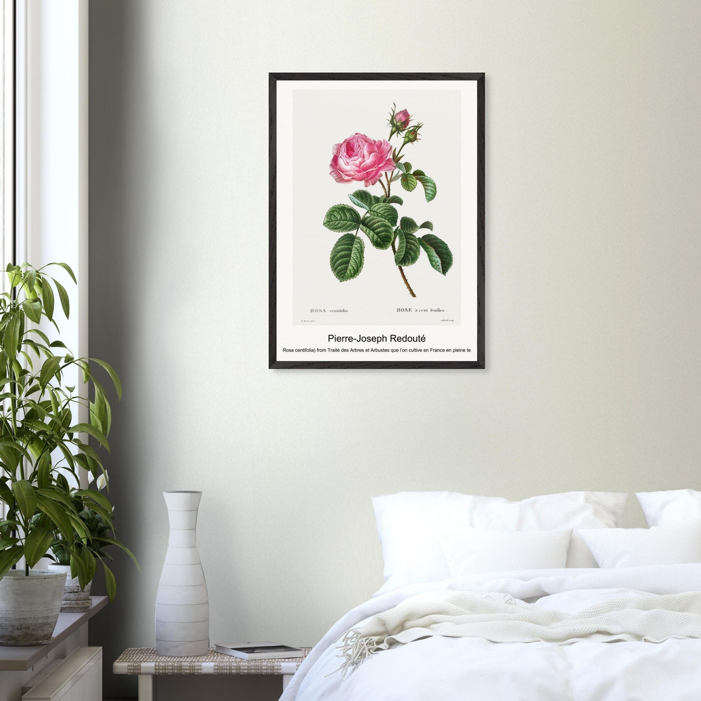 c54d40fa-321e-44f1-8d19-0df6d21e7a9e