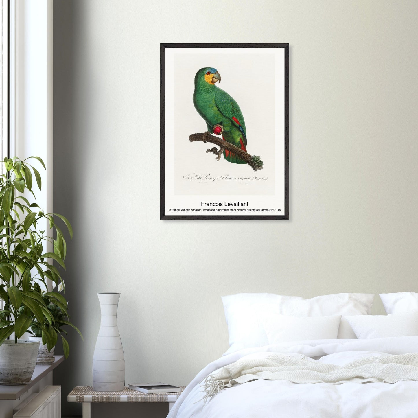 cd0a43c2-52cf-4689-a921-057b127c4c71