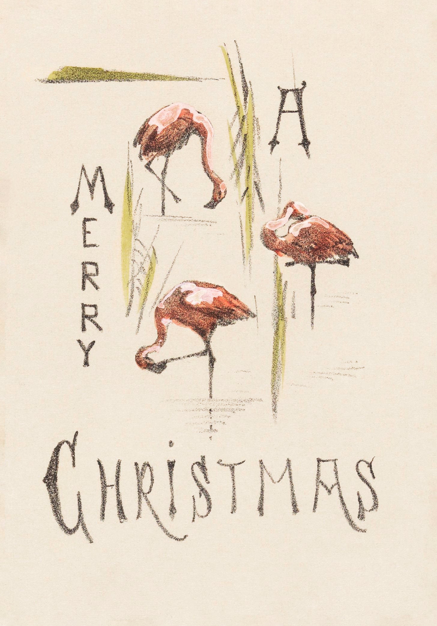 Kerstkaart met drie flamingo's (c.1878-c.1917) by Theo van Hoytema