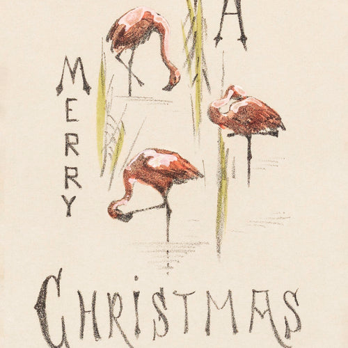 Kerstkaart met drie flamingo's (c.1878-c.1917) by Theo van Hoytema