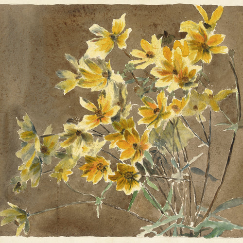 Yellow Flower with Border (1915) by Hannah Borger Overbeck