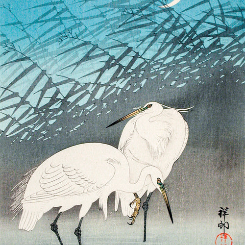 Egrets and Reeds in Moonlight (1926) by Ohara Koson