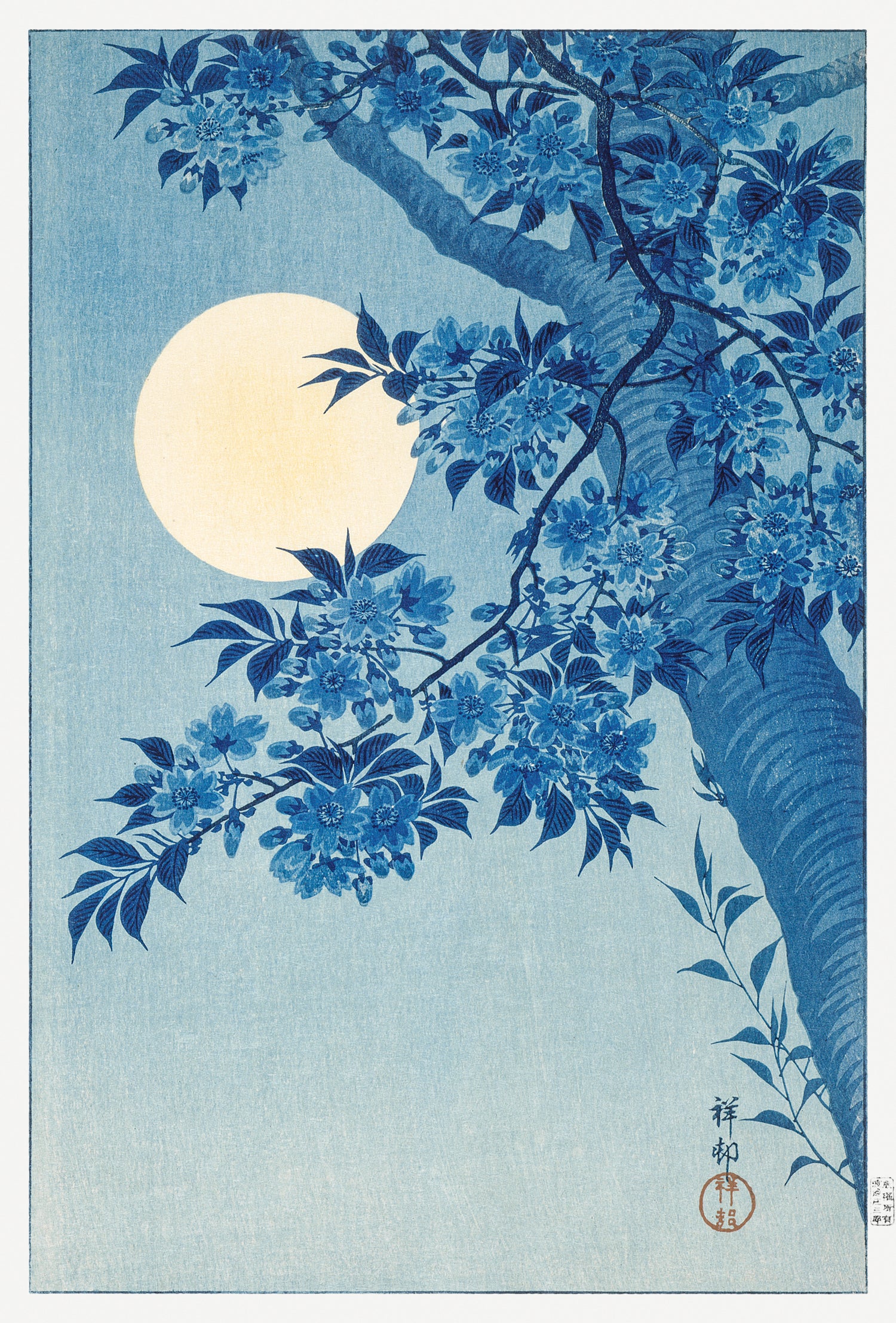 Blossoming Cherry on a Moonlit Night (1932) by Ohara Koson