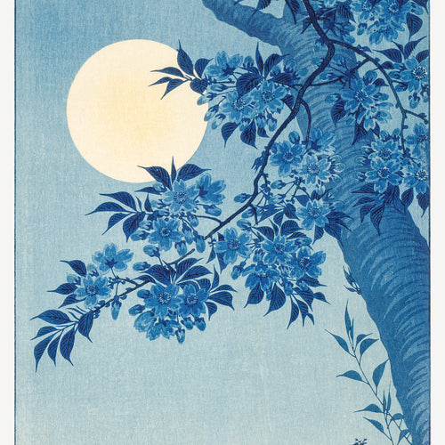 Blossoming Cherry on a Moonlit Night (1932) by Ohara Koson