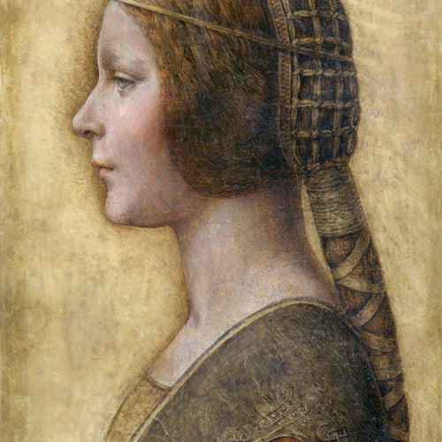 Profile of a Young Fiancée (1495) by Leonardo da Vinci