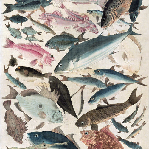 Eighty-eight Fish (19th century) by Utagawa Yoshikazu