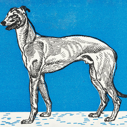 Greyhound (1912) by Moriz Jung