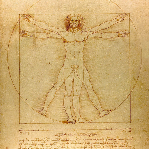 Vitruvian Man (1492) by Leonardo da Vinci