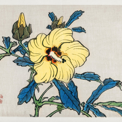 Hibiscus (1913) by Kōno Bairei