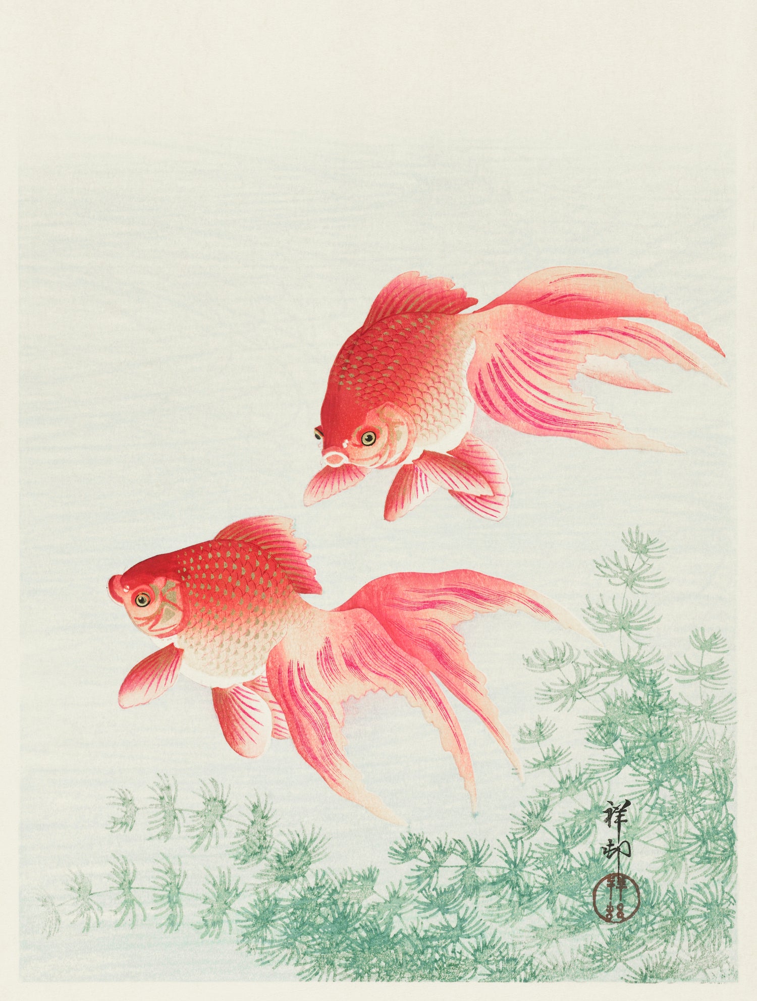 Two veil goldfish (1926) by Ohara Koson