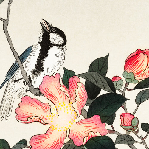 Great tit on branch with pink flowers (1900 - 1930) by Ohara Koson