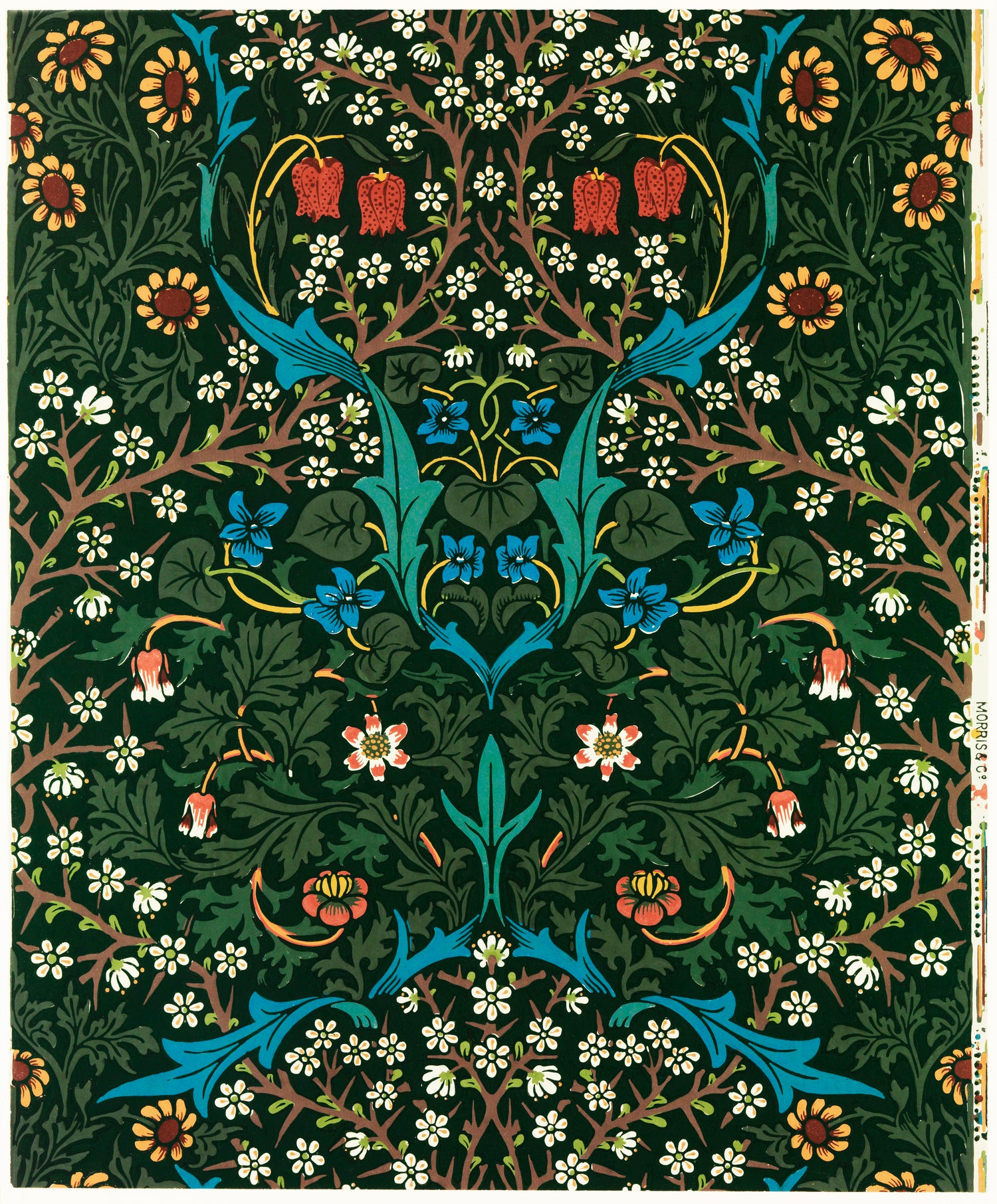 Tulip (1834-1896) by William Morris