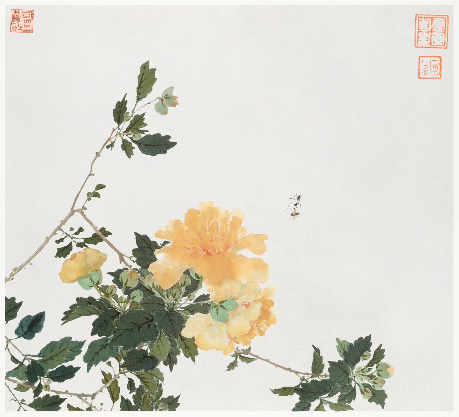 Insects and Flowers (Qing dynasty ca. 1644-1911) (1644-1911) by Ju Lian