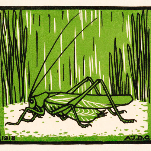 Grasshopper (1918) by Julie de Graag