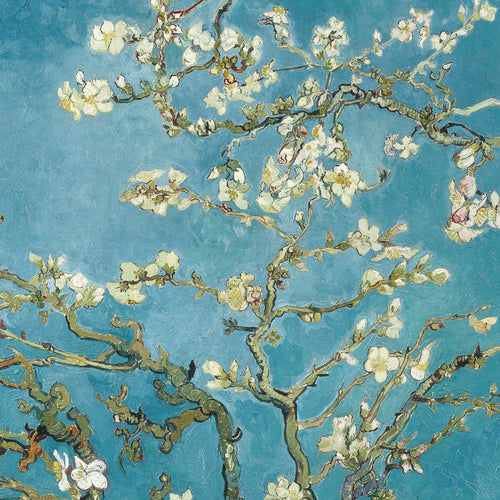 Almond blossom (1890) by Vincent van Gogh