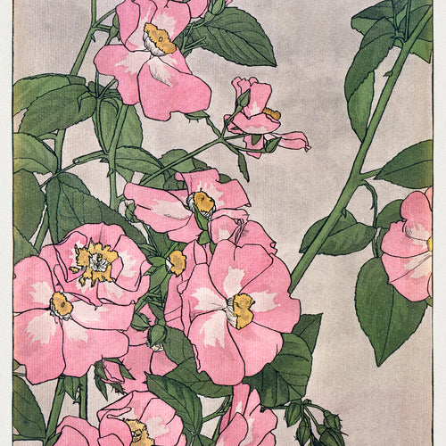 Prairie Rose (1915) by Hannah Borger Overbeck