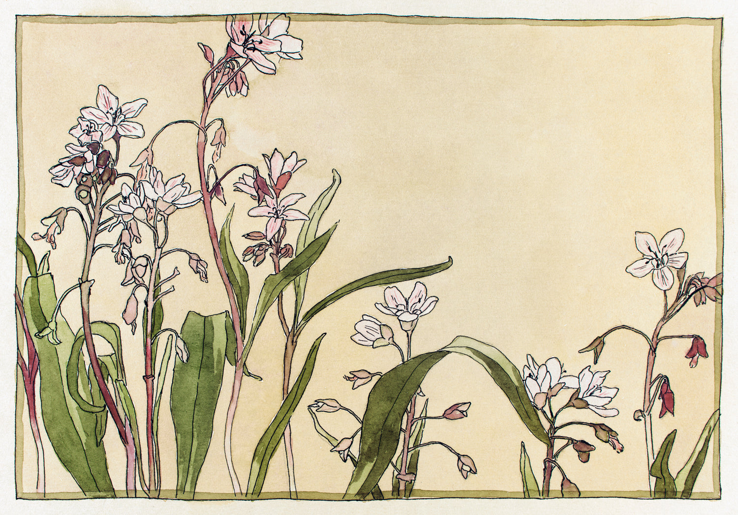 Spring Beauty (1915) by Hannah Borger Overbeck