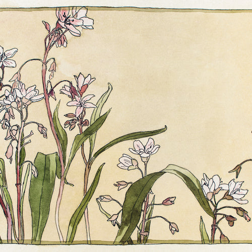 Spring Beauty (1915) by Hannah Borger Overbeck