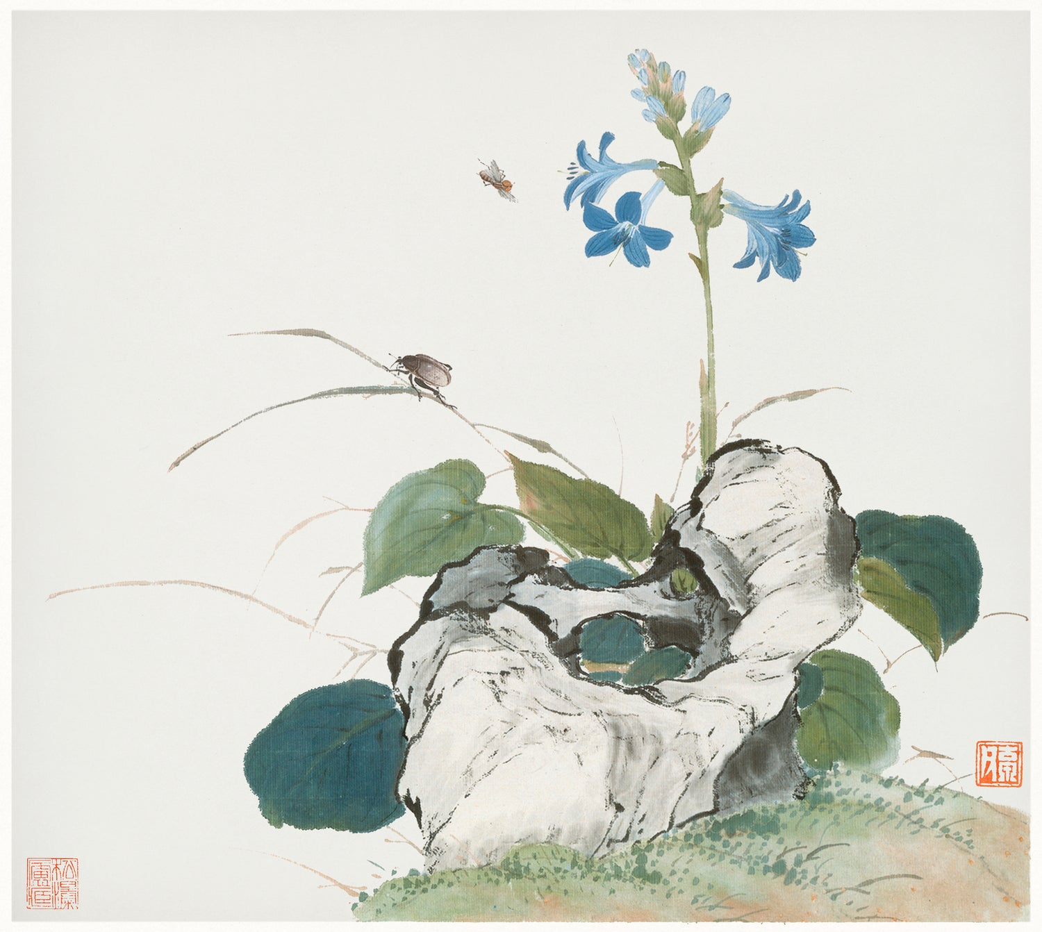 Insects and Flowers (Qing dynasty ca. 1644-1911) by Ju Lian