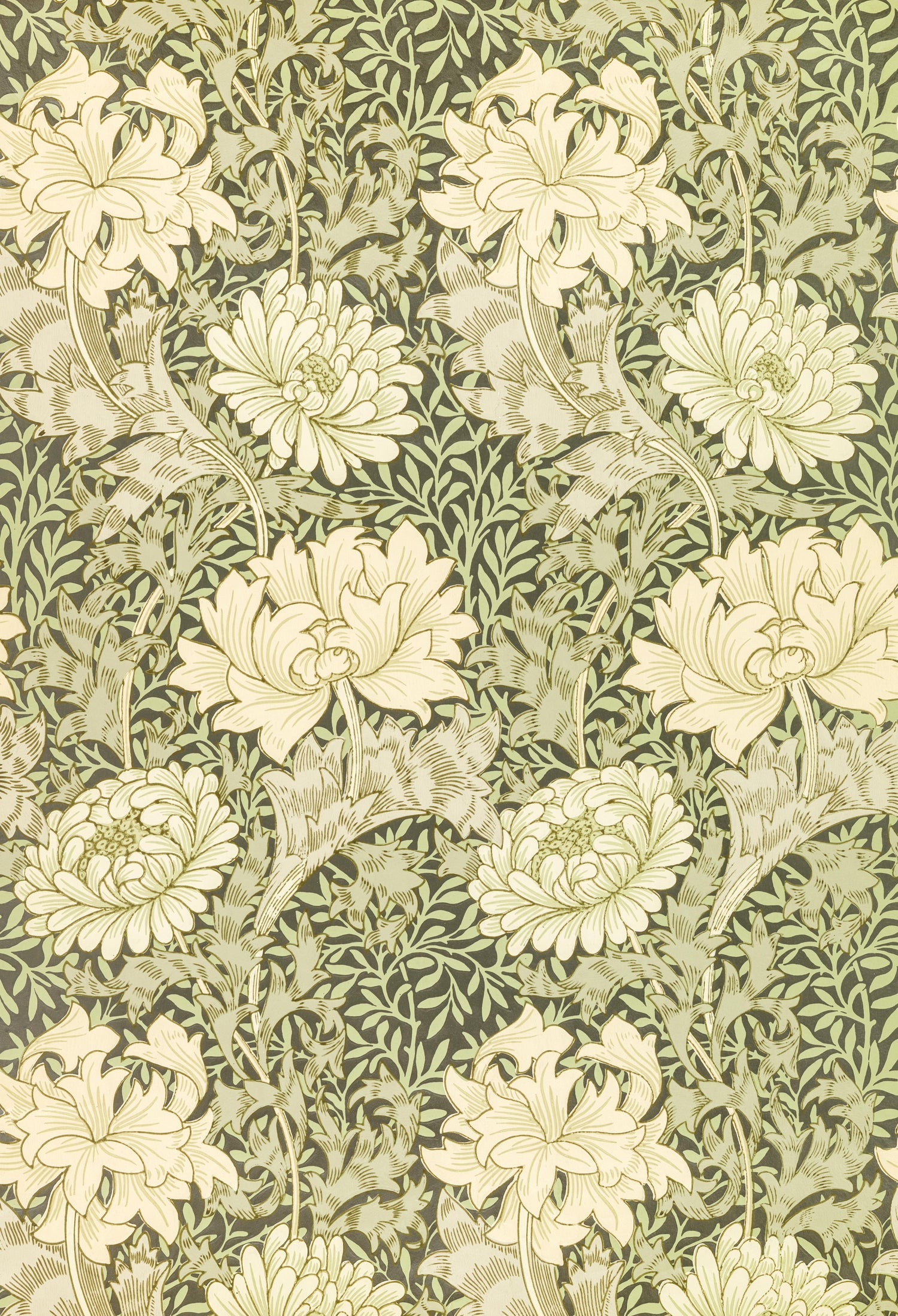 Chrysanthemum pattern (1877) by William Morris