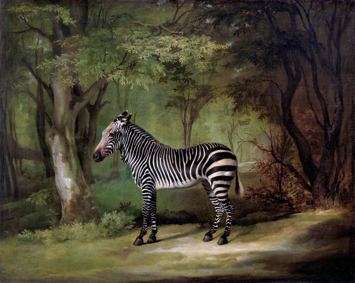 Zebra (1763) by George Stubbs