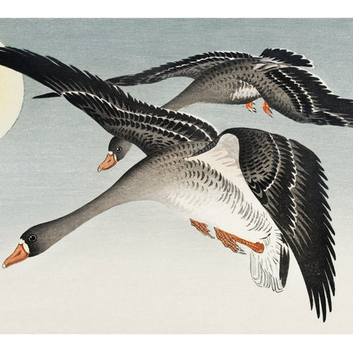 Birds at full moon (1900 - 1936) by Ohara Koson