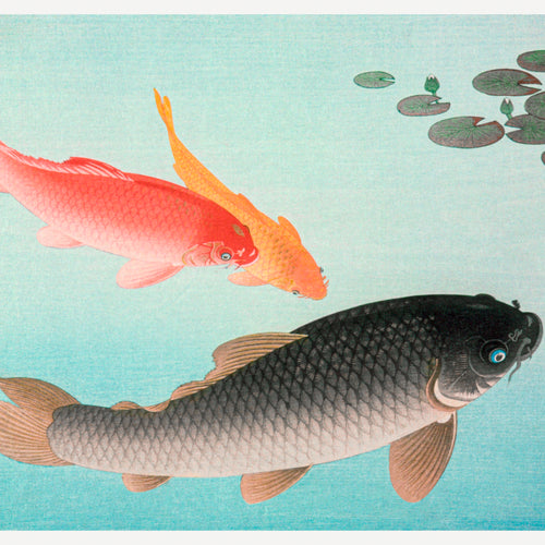 Common and Golden Carp (1935) by Ohara Koson