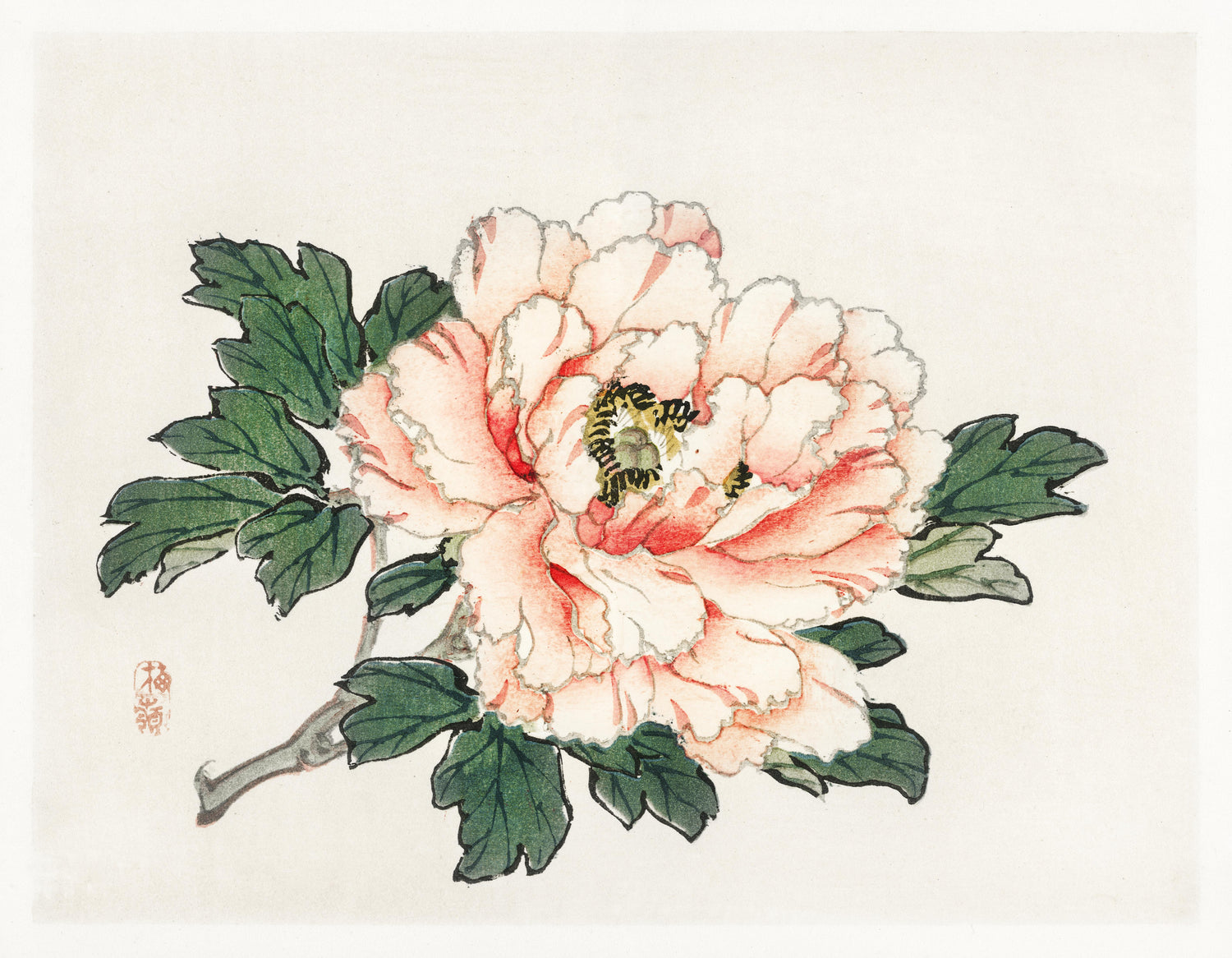 Pink rose (1913) by Kōno Bairei