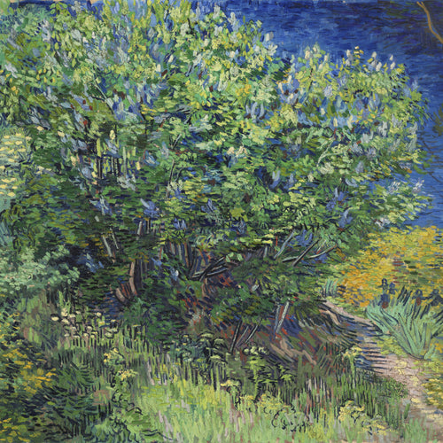 Lilac Bush (1889) by Vincent van Gogh