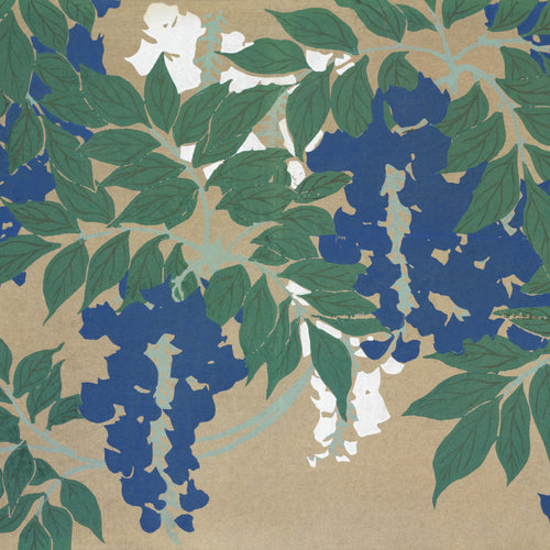 Wisteria from Momoyogusa-Flowers of a Hundred Generations (1909) by Kamisaka Sekka