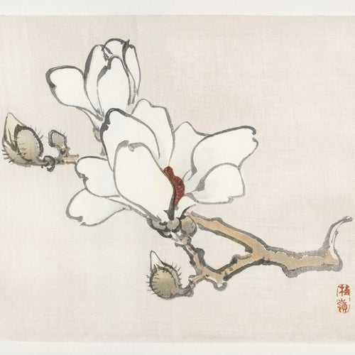 Magnolia (1913) by Kōno Bairei