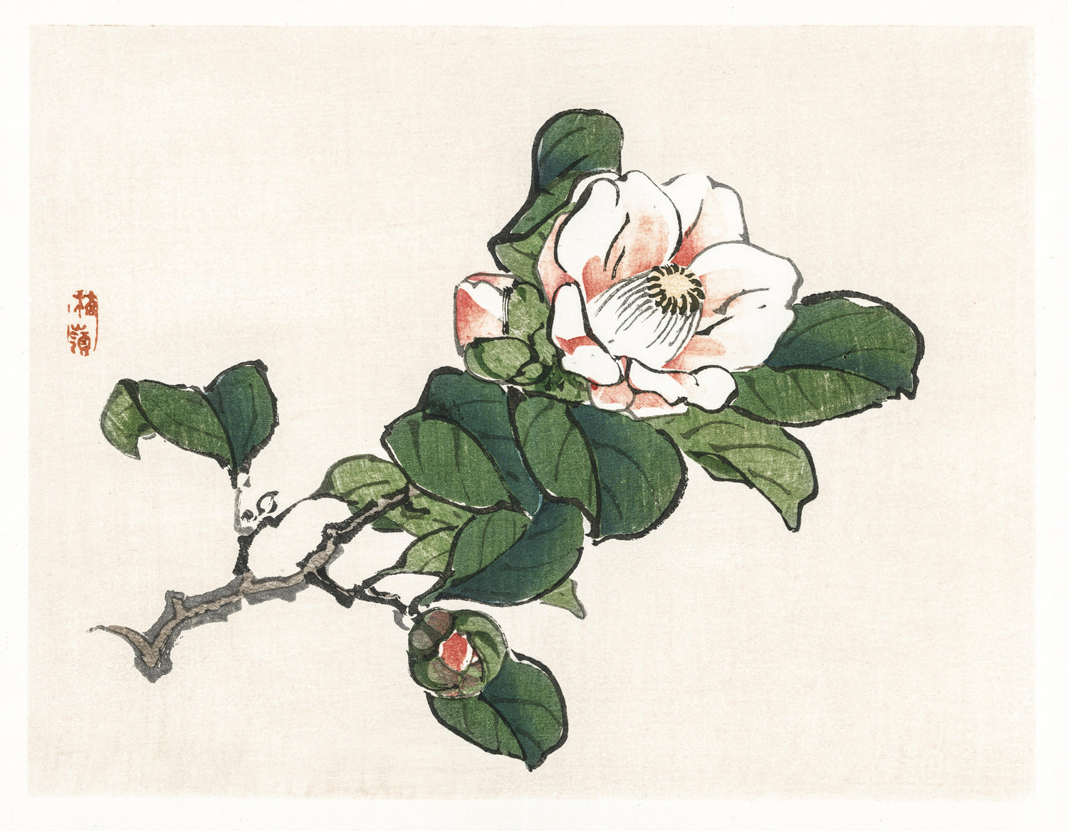 Camelia (1913) by Kōno Bairei