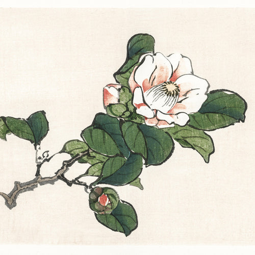 Camelia (1913) by Kōno Bairei