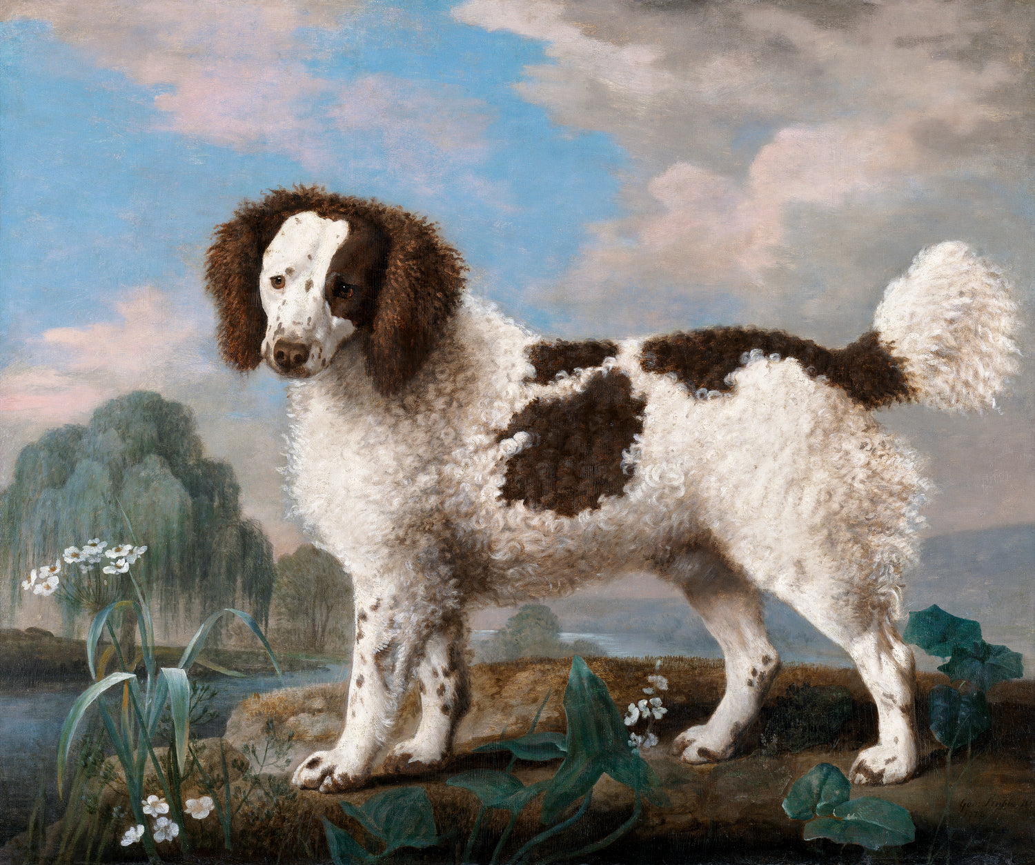 Brown and White Norfolk or Water Spaniel (1778) by George Stubbs