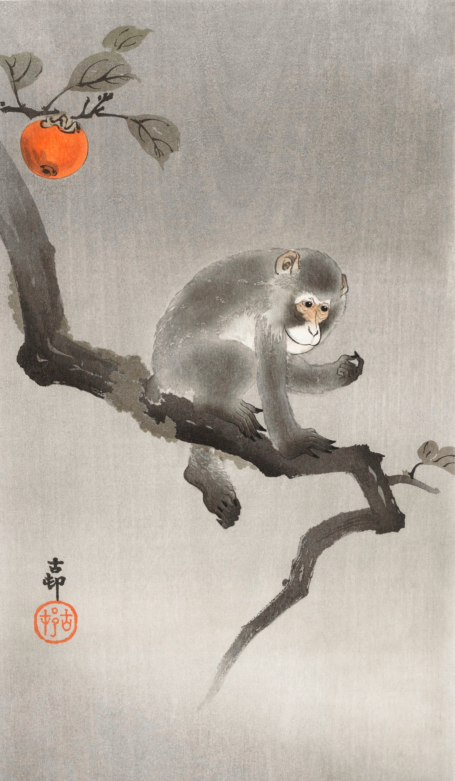 Monkey in cockatoo (1900 - 1930) by Ohara Koson