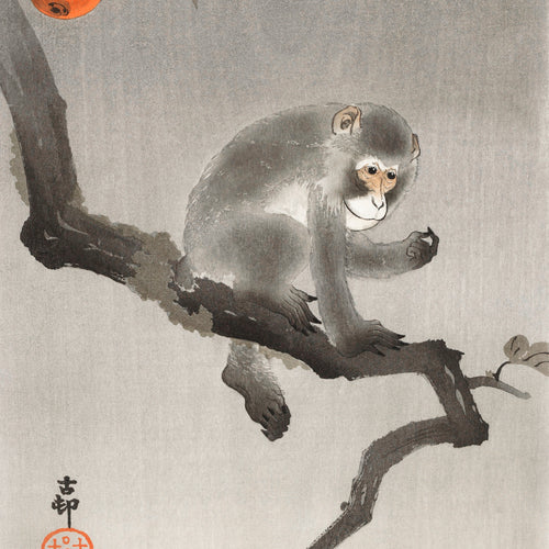 Monkey in cockatoo (1900 - 1930) by Ohara Koson