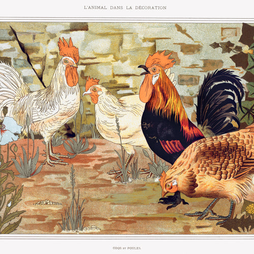 Coqs et poules from L'animal dans la décoration (1897) by Maurice Pillard Verneuil