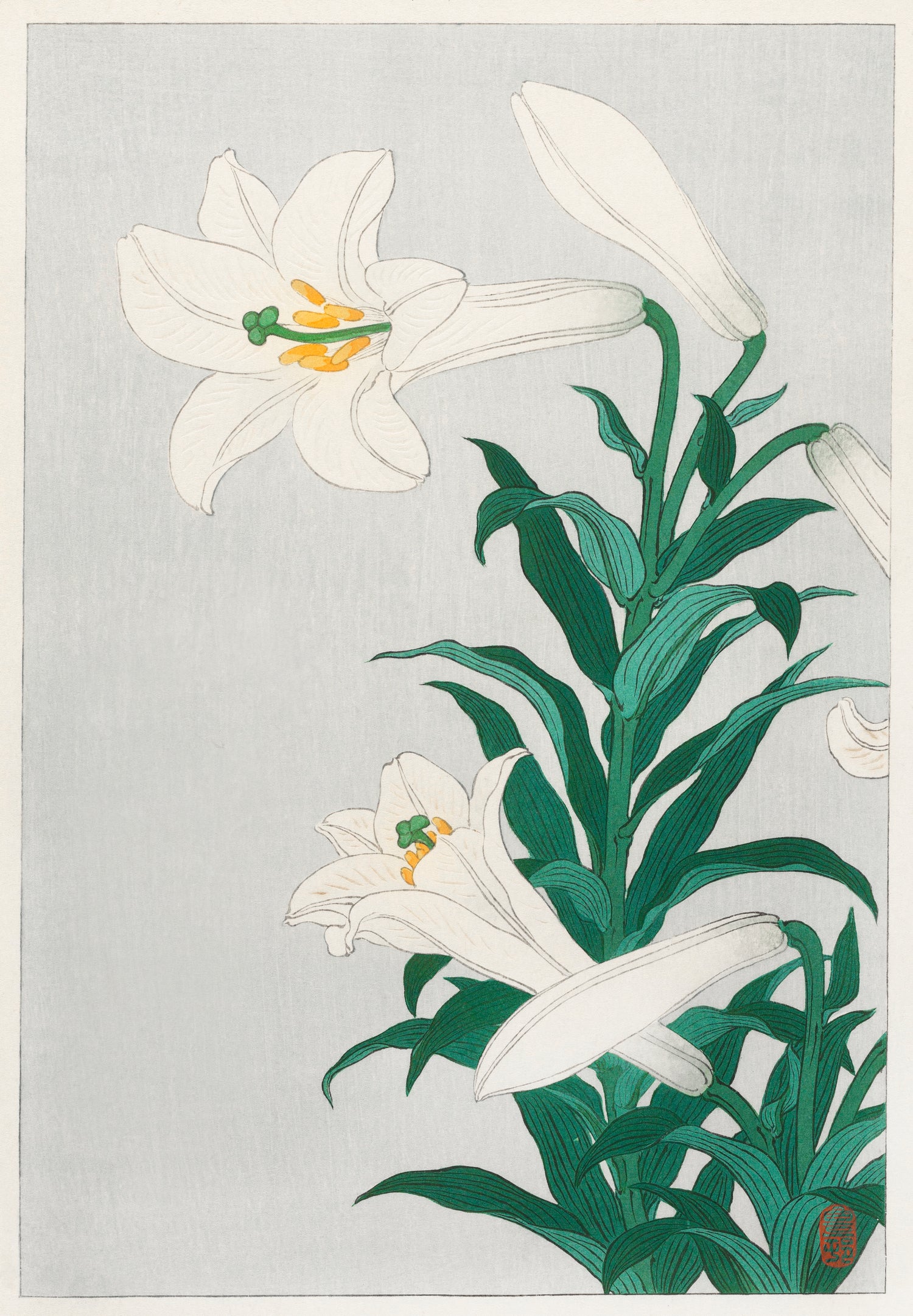 Lilies, Ohara (1920 - 1930) by Ohara Koson