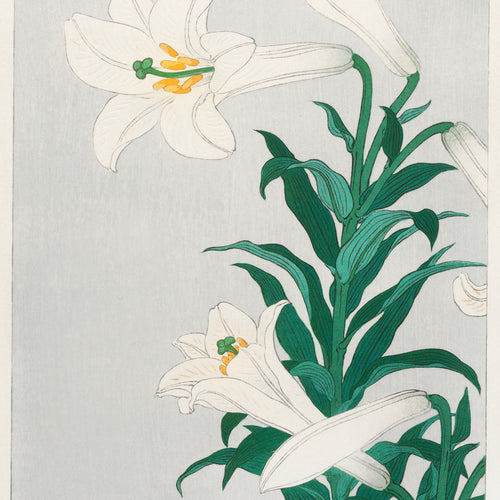 Lilies, Ohara (1920 - 1930) by Ohara Koson