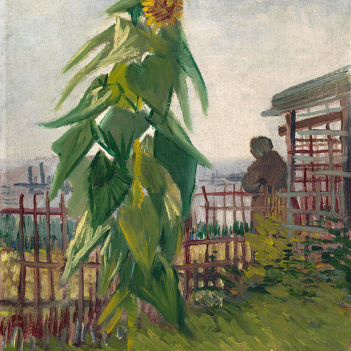 Allotment with Sunflower (1887) by Vincent van Gogh