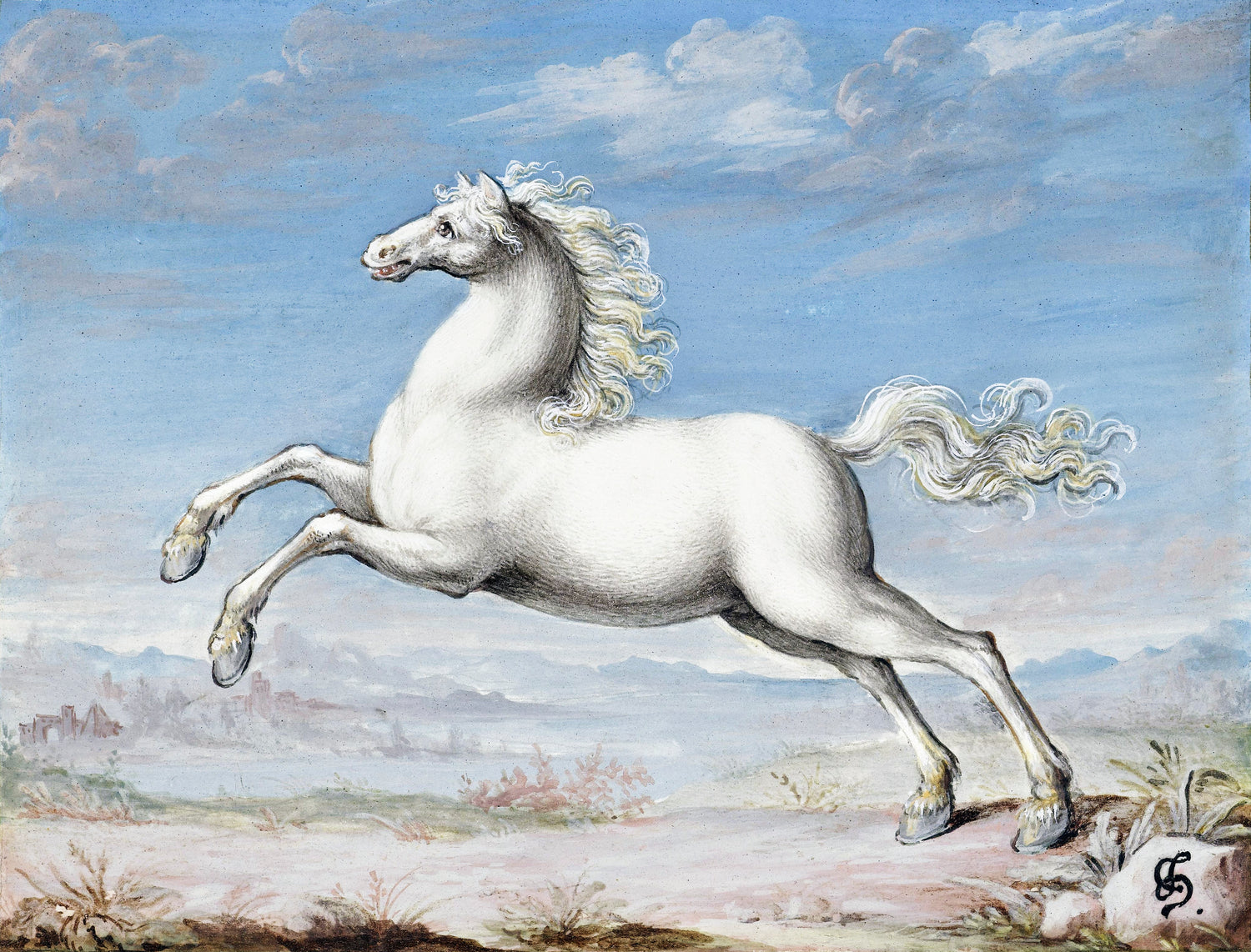 White horse (1552-1601) by Joris Hoefnagel