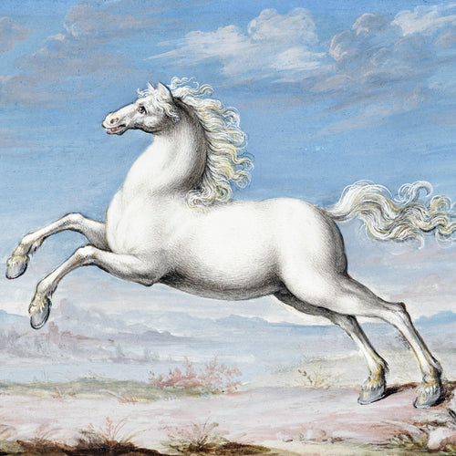 White horse (1552-1601) by Joris Hoefnagel