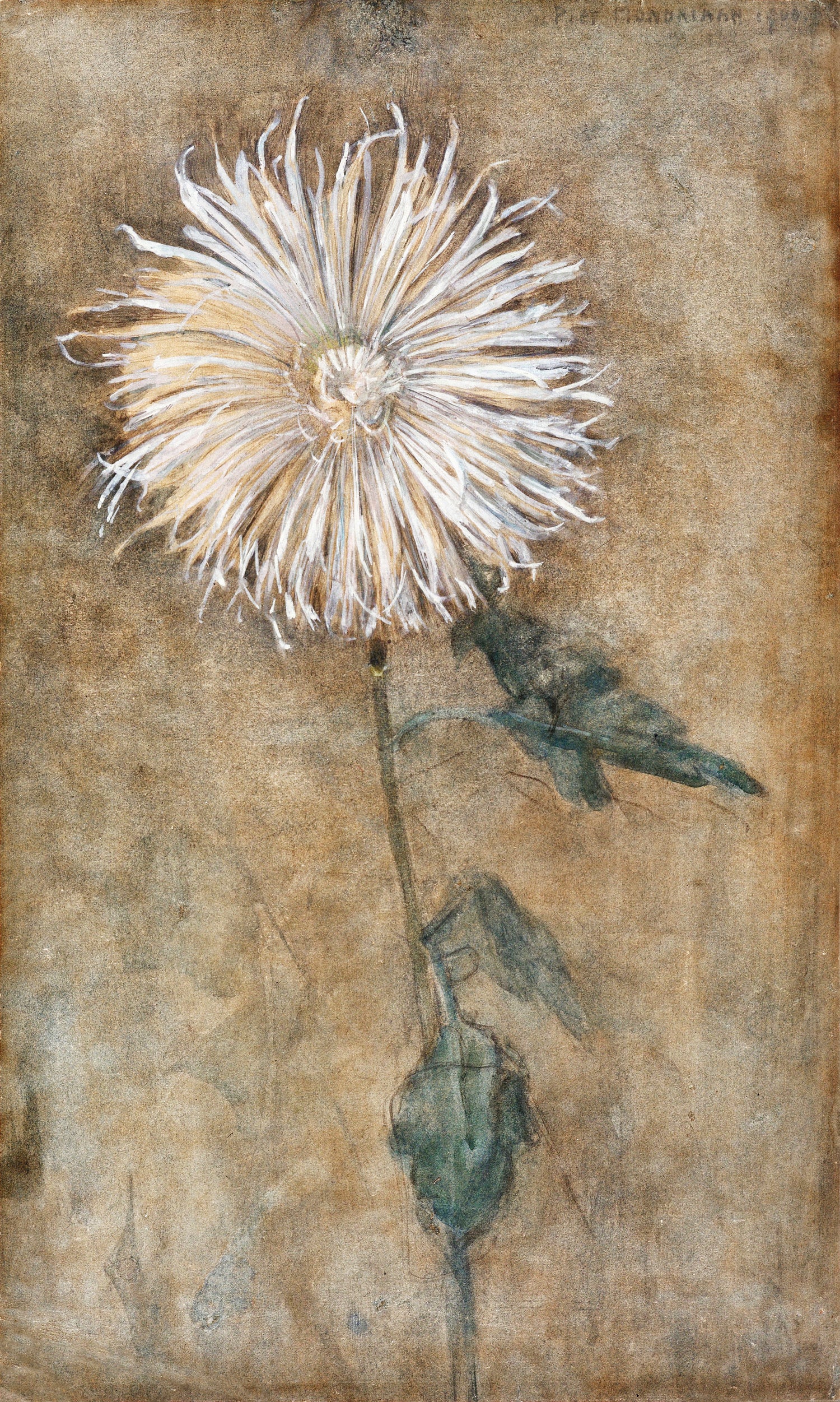 Chrysanthemum (1900) by Piet Mondrian