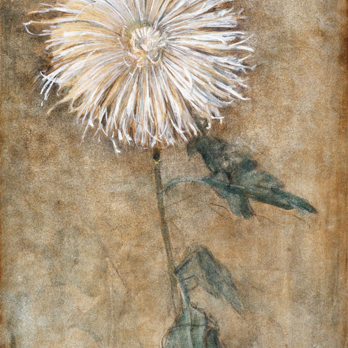 Chrysanthemum (1900) by Piet Mondrian